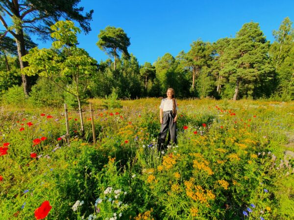 WhatsApp Image 2023-01-02 at 19.50.23