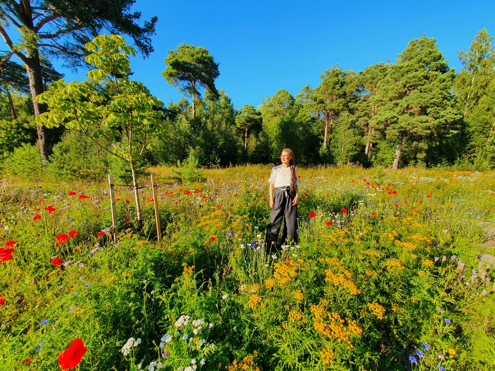 WhatsApp Image 2023-01-02 at 19.50.23